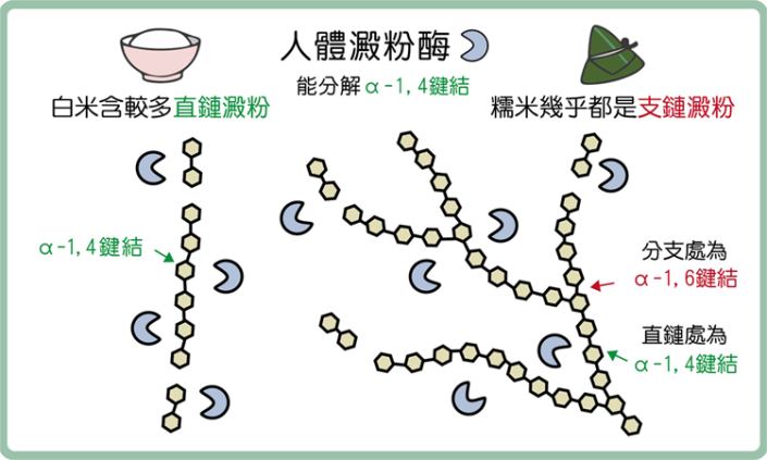 吃糯米難消化原因？如何健康吃糯米料理、避免脹氣？