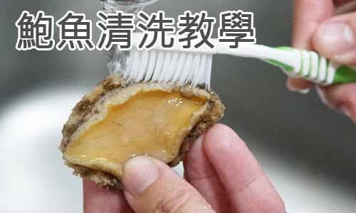 鮑魚清洗教學