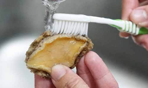 打開清水並用牙刷刷洗鮑魚