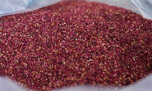 將成熟紅藜採收下來，簡單去除樹枝莖脈