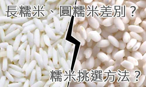 長糯米、圓糯米差別？糯米挑選方法？