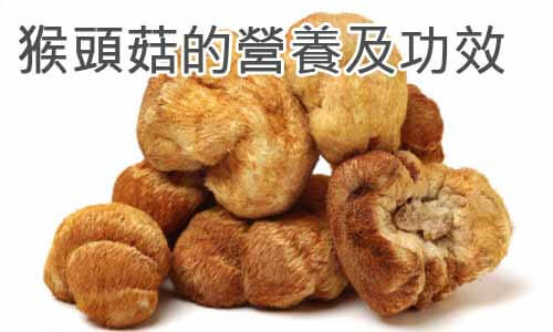 猴頭菇的營養及功效