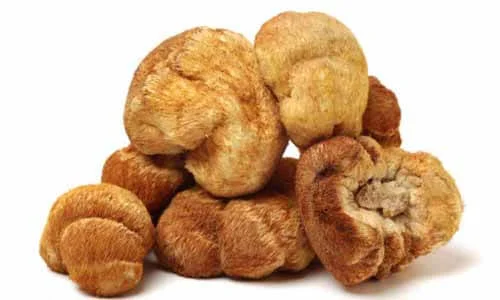 素粽子食材介紹，八大山珍猴頭菇