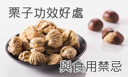 栗子功效好處與食用禁忌