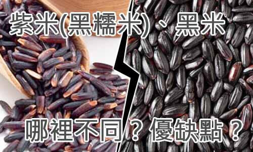 紫米(黑糯米)、黑米-哪裡不同？優缺點？