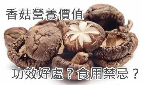 香菇營養價值-功效好處？食用禁忌？
