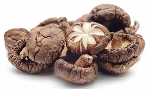 營養好吃的香菇