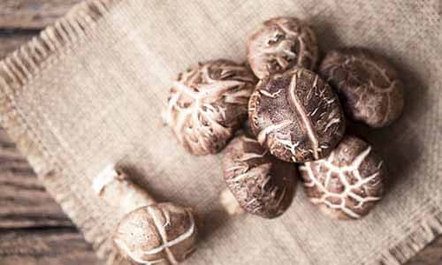 香菇富含多醣體能增強免疫