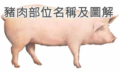 raw-image