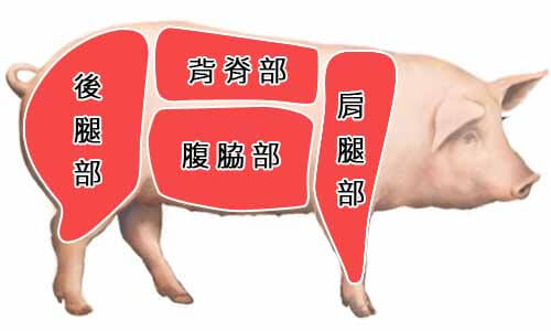 四部位分切法