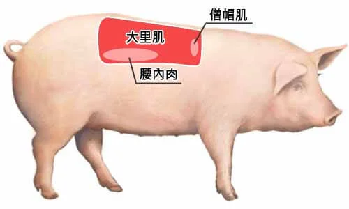 raw-image