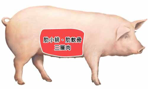 腹脇部位：肋小排、肋軟骨、三層肉