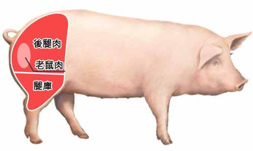 後腿部位：後腿肉、老鼠肉、腿庫