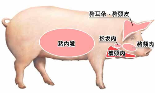 其他部位：豬頰肉、松阪豬、槽頭肉、豬耳朵、豬頭皮、豬內臟