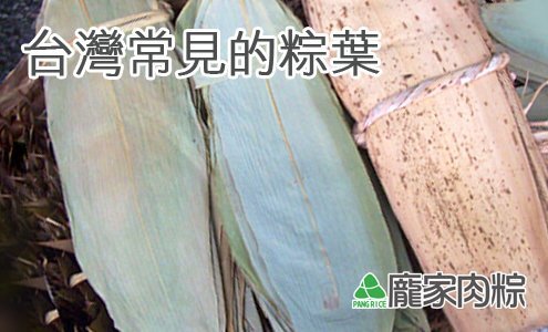 台灣常見的粽葉有哪些