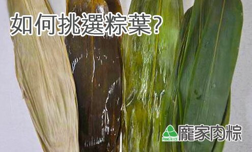 如何挑選粽葉