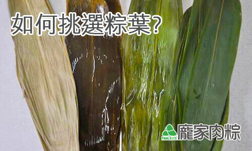 如何挑選粽葉