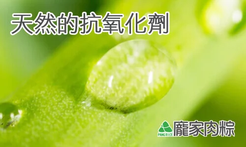 粽子外頭的粽葉含有天然的抗氧化劑？