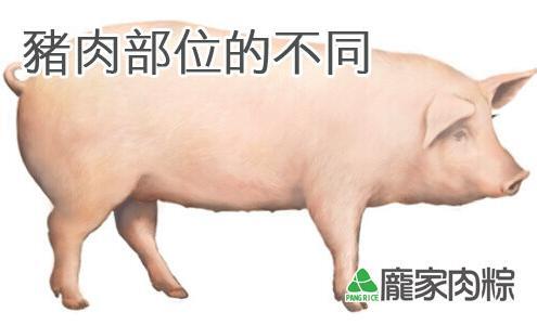 肉粽該選用哪個部位的豬肉?
