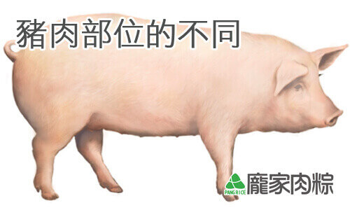 肉粽該選用哪個部位的豬肉?