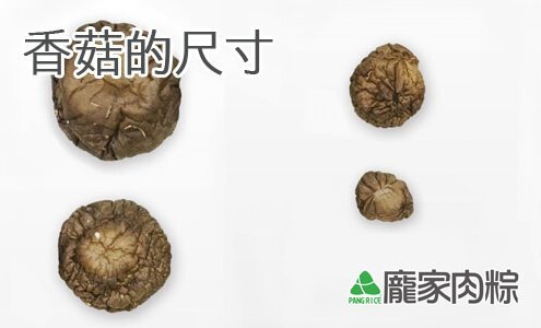 81-00包粽子香菇的尺寸
