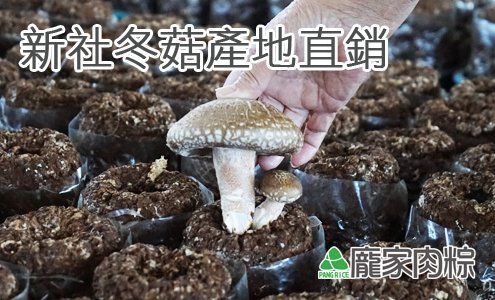 82-00龐家肉粽新社原產地購買新社高品質冬菇包粽子(肉粽食材介紹)