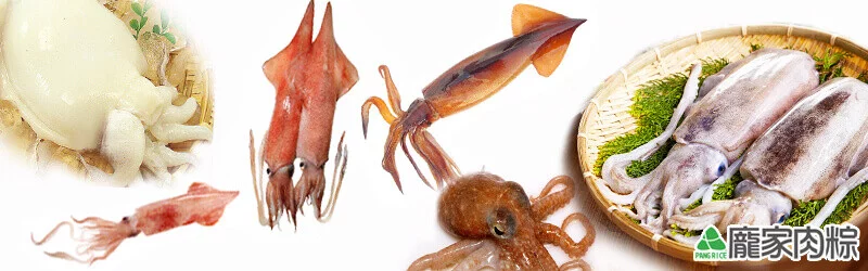 92-12魷魚、花枝、小卷、中卷、鎖管、章魚、軟絲、透抽該如何分辨？