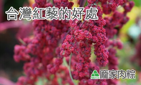 112-00台灣紅藜與進口紅藜麥的不同(龐家肉粽端午節粽子食材介紹)