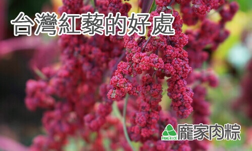 112-00台灣紅藜與進口紅藜麥的不同(龐家肉粽端午節粽子食材介紹)
