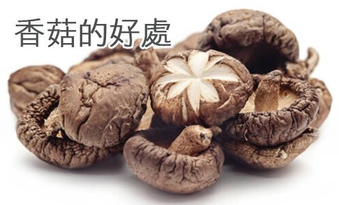 127-00香菇的好處