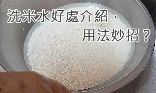 洗米水好處介紹，用法妙招？