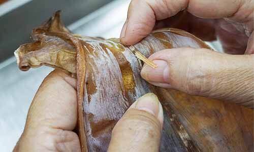 將魷魚中間的軟骨去除