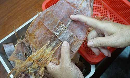 逆著(垂直)魷魚的紋路將魷魚橫切