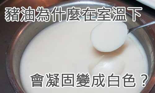 豬油為什麼在室溫下會凝固變成白色？