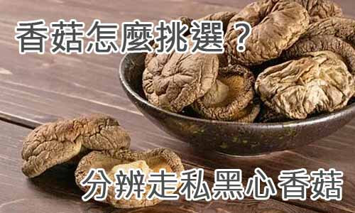 香菇怎麼挑選？分辨走私黑心香菇