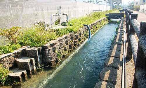 新社菇寮山上的好山好水