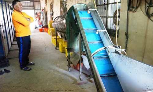 篩選香菇大小的機器