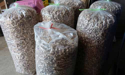 篩選完的香菇會將多餘蒂頭修剪掉