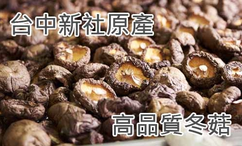台中新社原產高品質冬菇