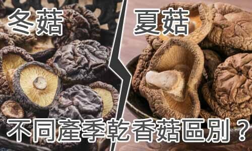 冬菇夏菇-不同產季乾香菇區別？