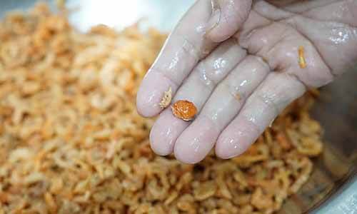 蝦米清洗教學-清洗時小心藏在蝦米內的小螃蟹