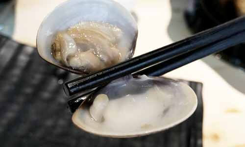 貝類用來開闔蚌殼的肌肉「閉殼肌」