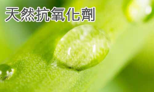 天然抗氧化劑