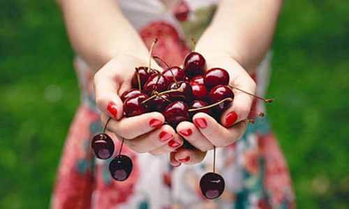 櫻桃可以補血養血