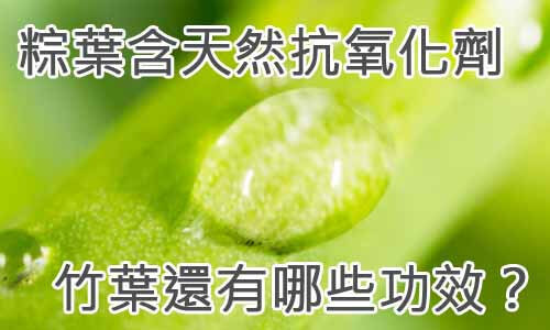粽葉含天然抗氧化劑-竹葉還有哪些功效？